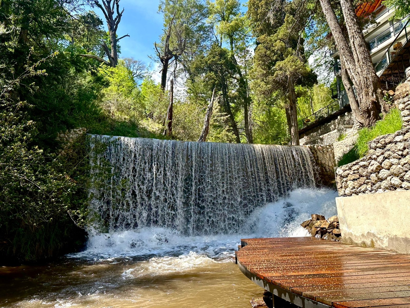 Cascada en el bosque